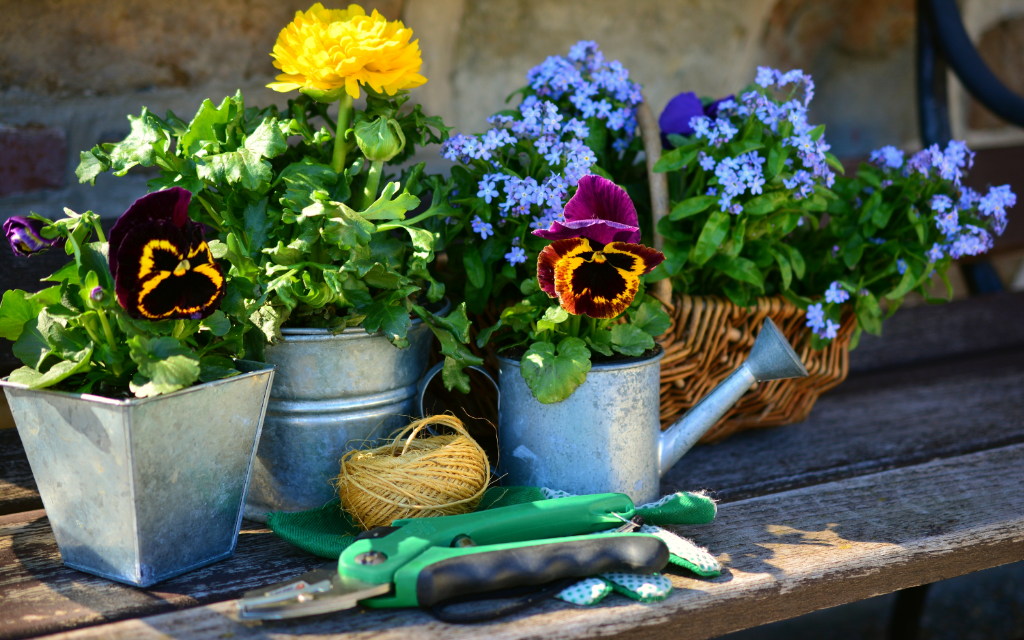 arrosoirs fleurs panier sécateur jardinière